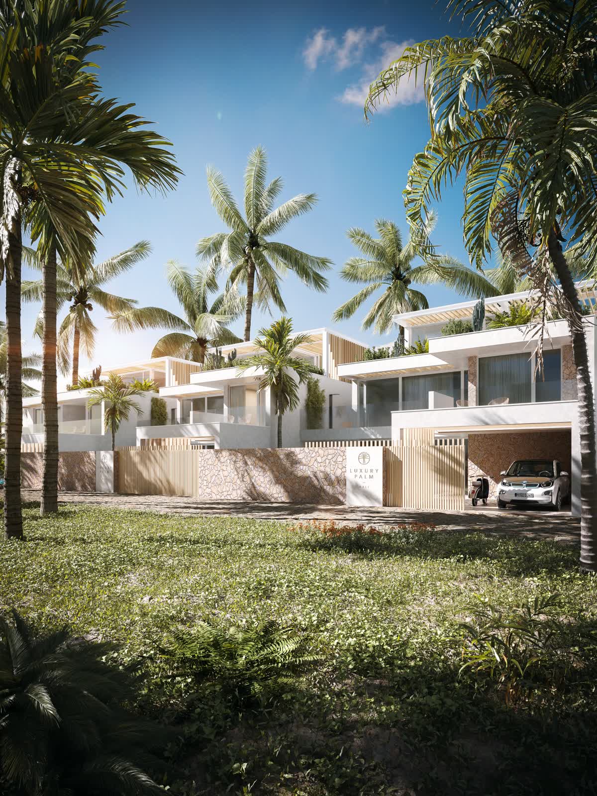 LUXURY PALM
